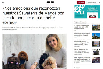 Salvaterra de Magos en el Diario Sur