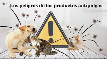 Los peligros de los productos antipulgas en perros y humanos.