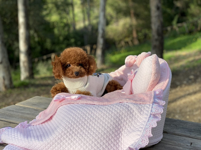 Milu Caniche Toy