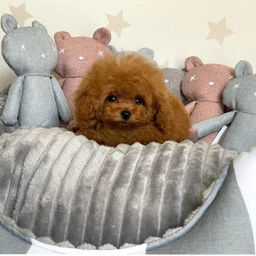 Juguetes para mascotas