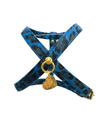 Arnes Leopard Blue de Piccoli Pets