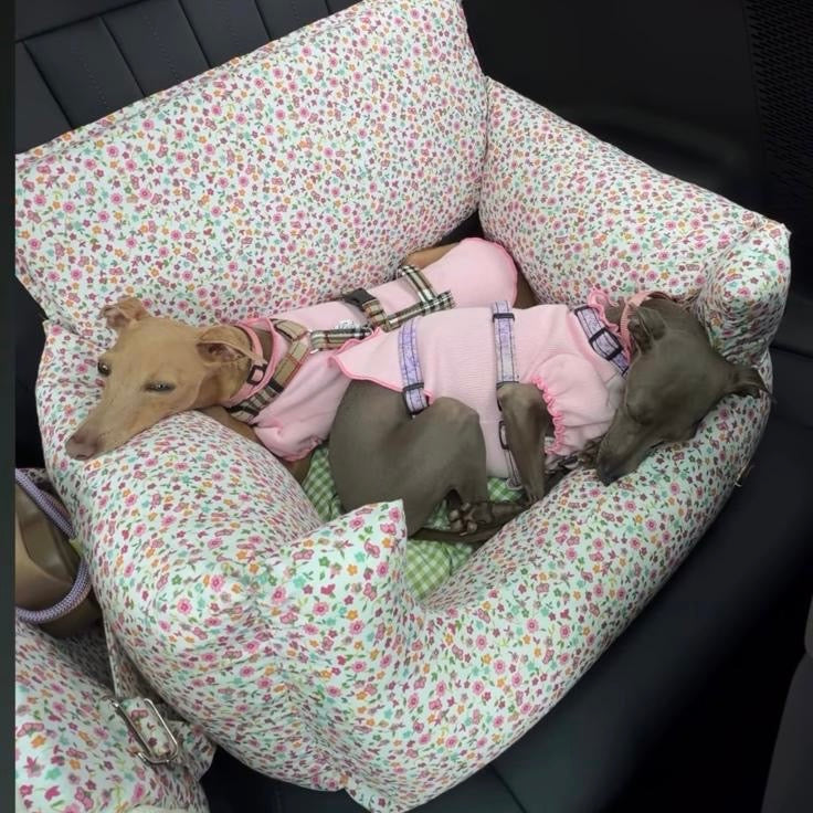 Salvaterra Burberry Approved Dog Car Seat