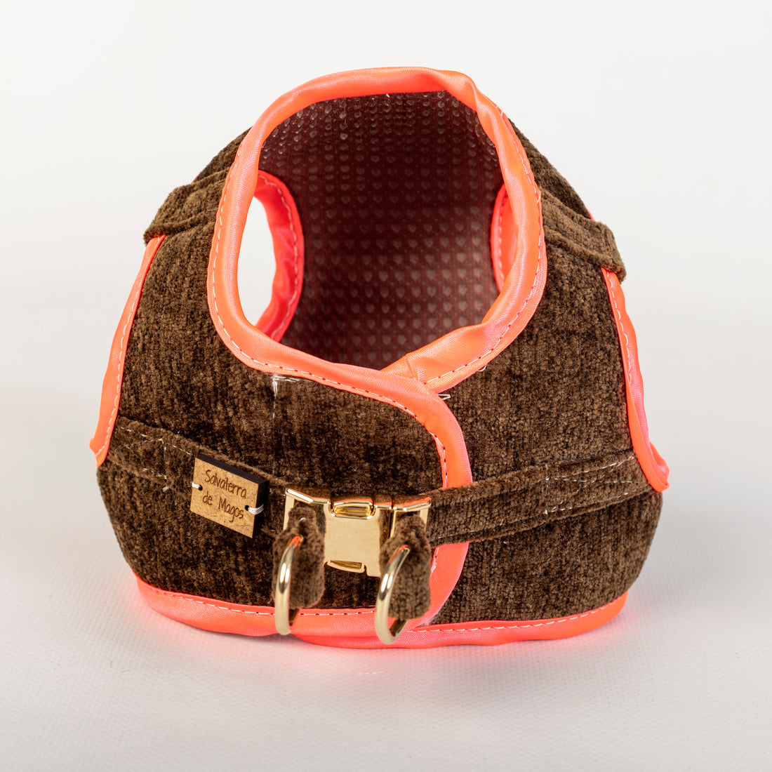 Conjunto Salvaterra de Arnes y Correa Flash