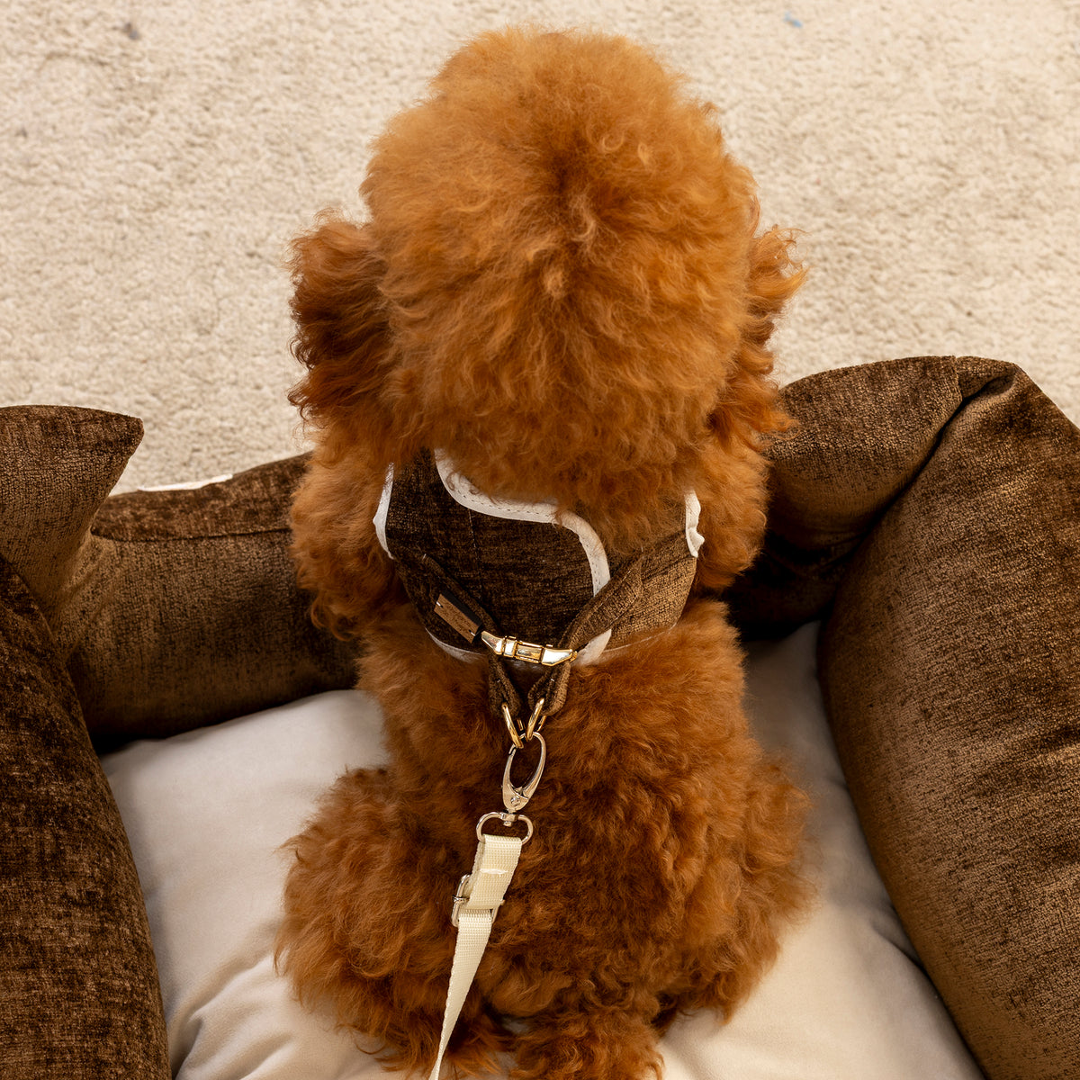 Salvaterra Burberry Approved Dog Car Seat