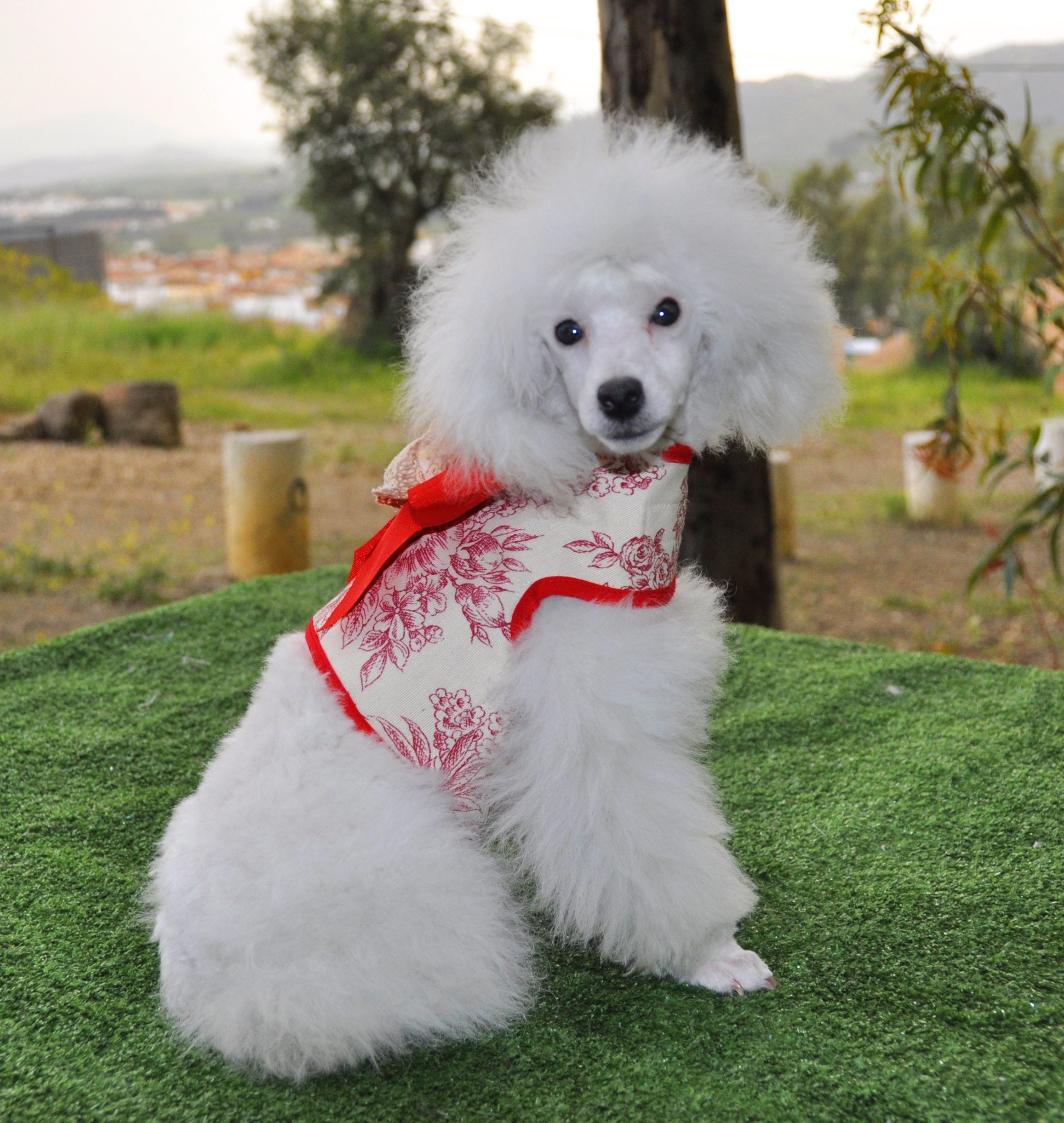 Arnes Chaleco Bruce Colección Primavera-Verano