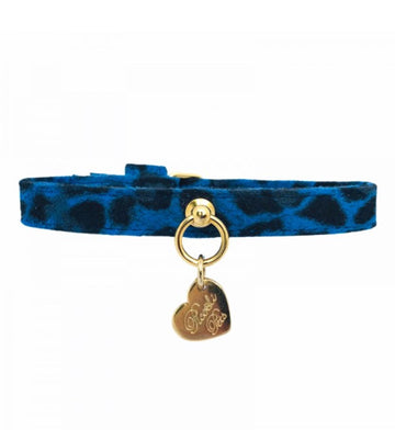 Collar Leopard Blue de Piccoli Pets