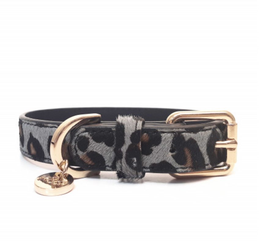 Collar Panthera Negro Milk and Pepper