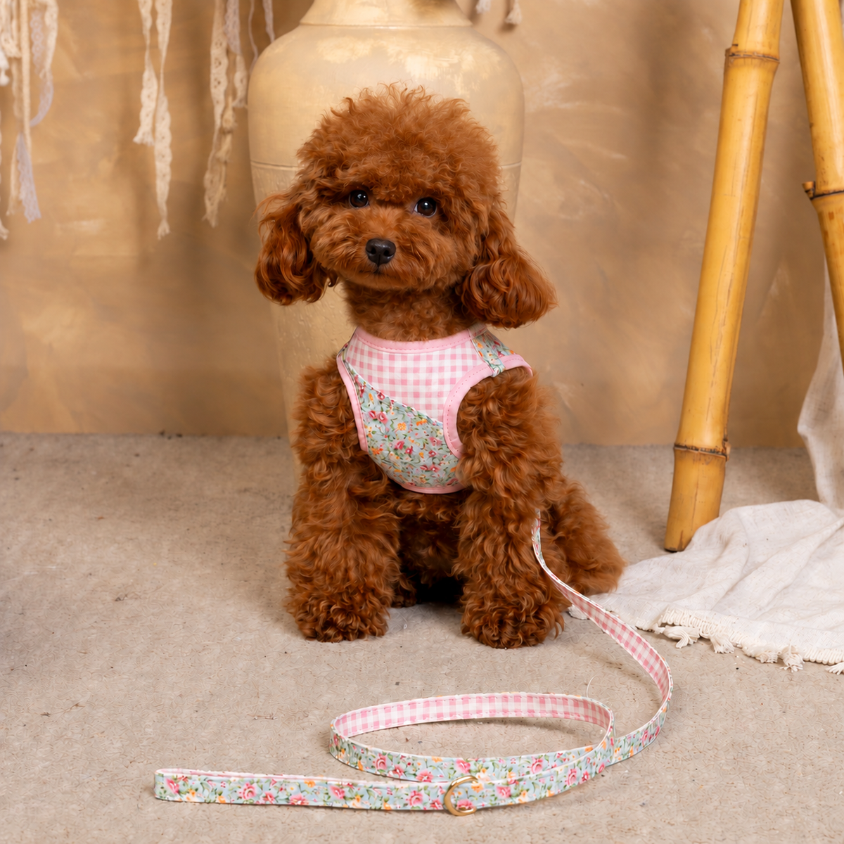 Salvaterra de Arnes Harness and Orvane Beige Leash Set