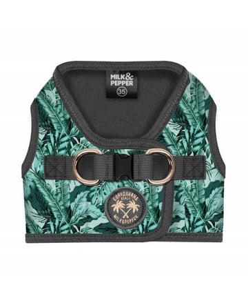 Arnes Neopreno Amazonia de Milk and Pepper