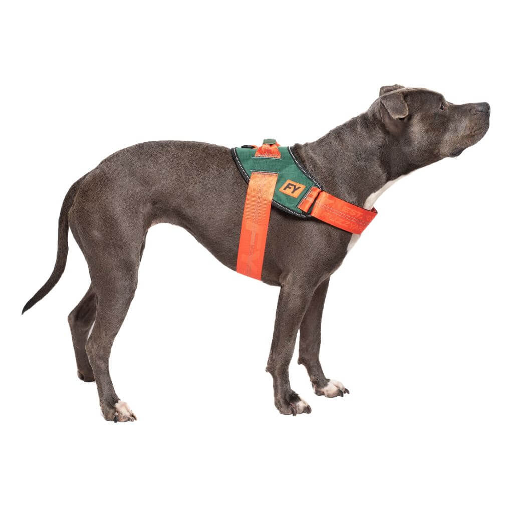 Arnes Commando de Fuzzyard. arnes seguro para cachorros de caniche