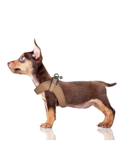 Dandy Beige Harness by Milk and Pepper