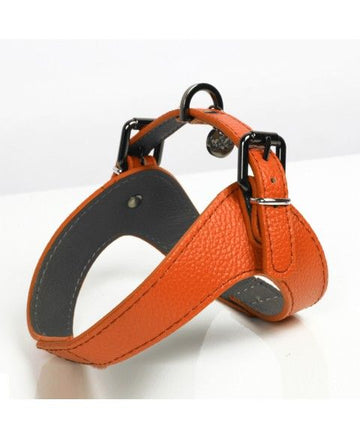 Milk and Pepper Orange Dandy Harness