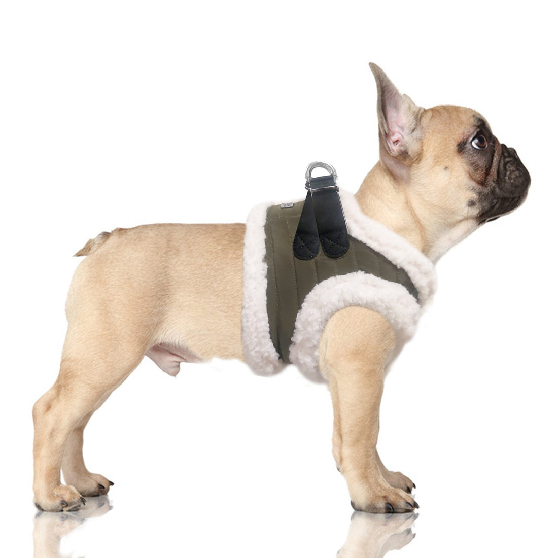 Arnes-Joakim-de-Milk-and-Pepper-de-Salvaterra-de-Magos-Arnes-para-caniches-de-Salvaterra-de-Mahos-Arnes-para-el-invierno-de-Salvaterra-de-Magos.