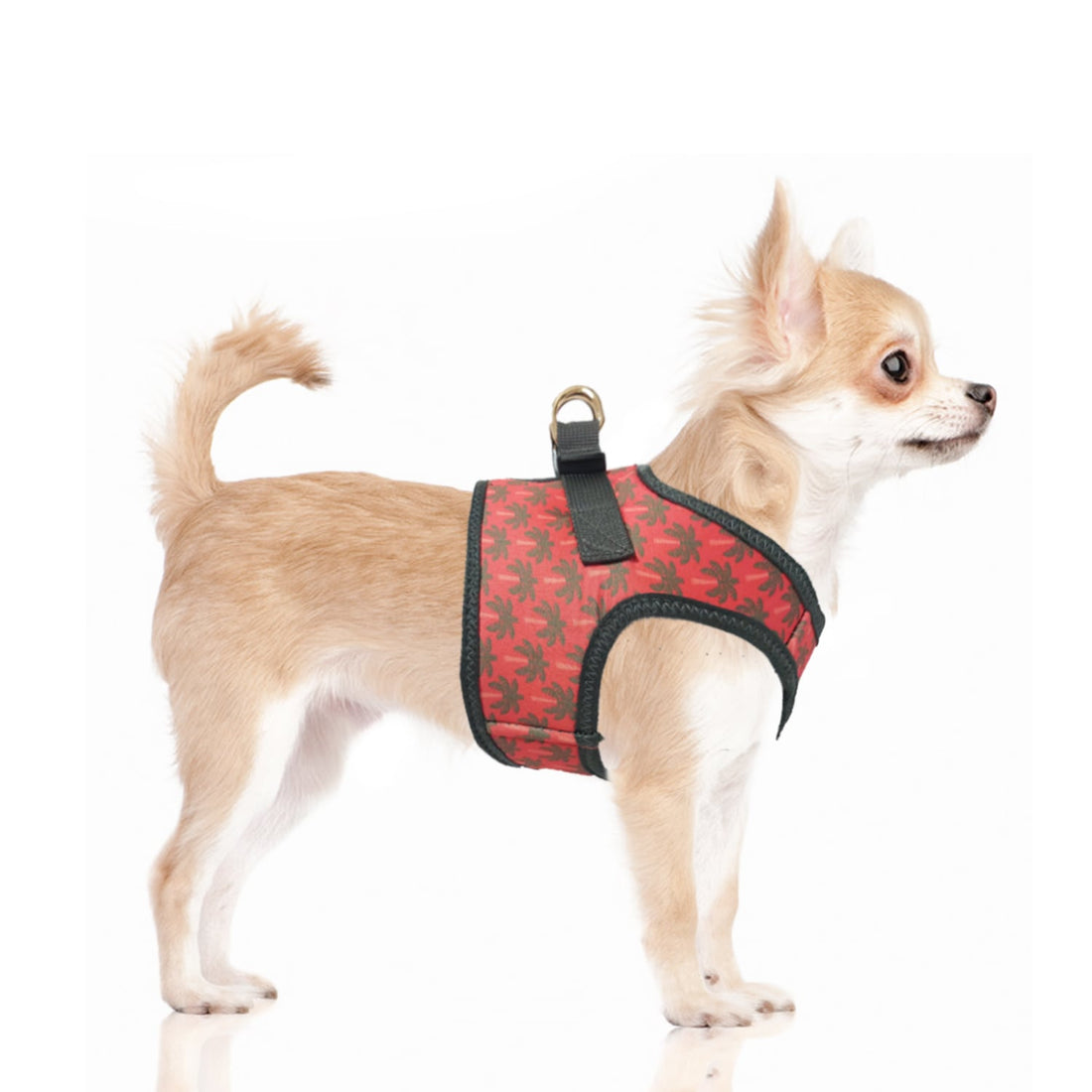 Layana Neoprene Harness by Milk and Pepper