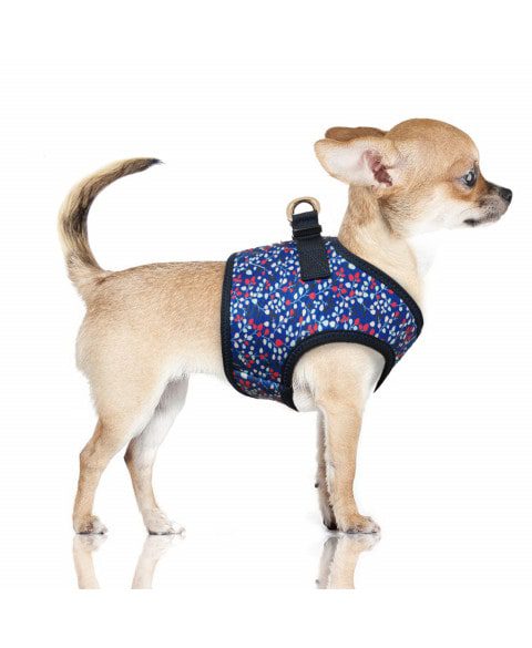 Milk and Pepper Manon Blue Harness