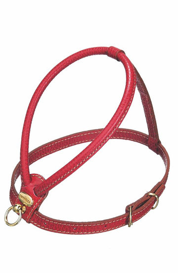 Arnes Rojo de Cinopelca