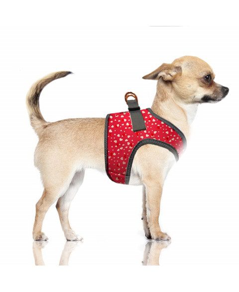 Arnes Sidonie de Milk and Pepper