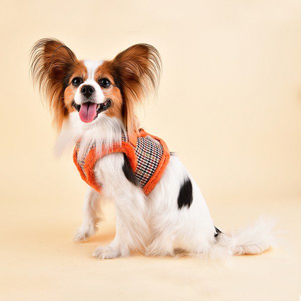 Arnes Cheleco Auden Orange de Puppia