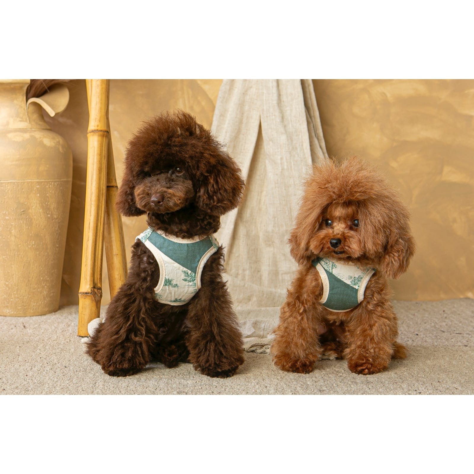 Salvaterra de Arnes Harness and Leash Set