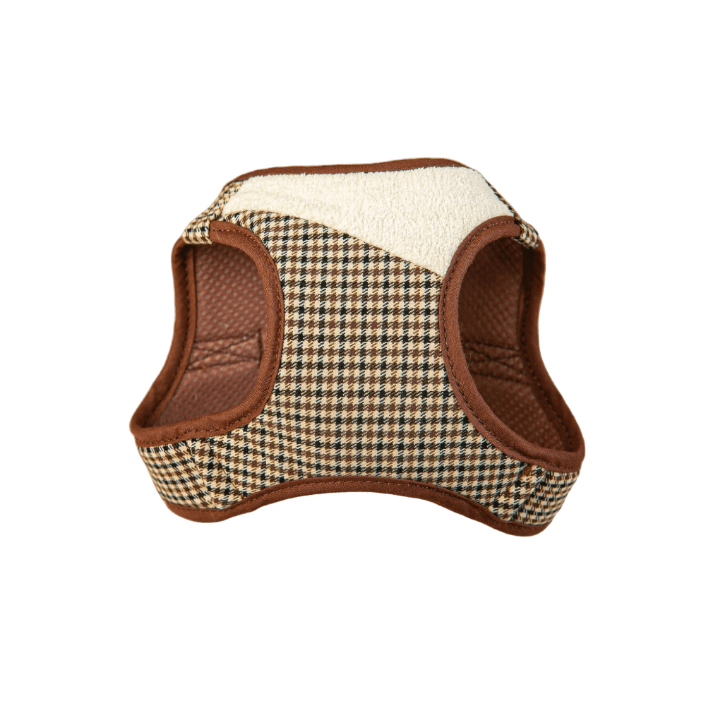 Arnes y Correa Ayzen Marron