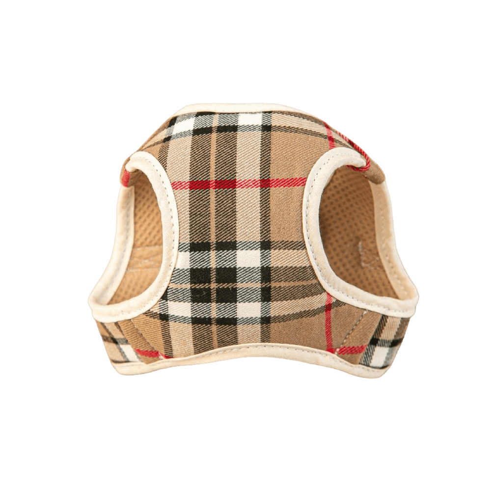 Arnes y Correa Burberry Beige