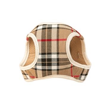 Arnes y Correa Burberry Beige