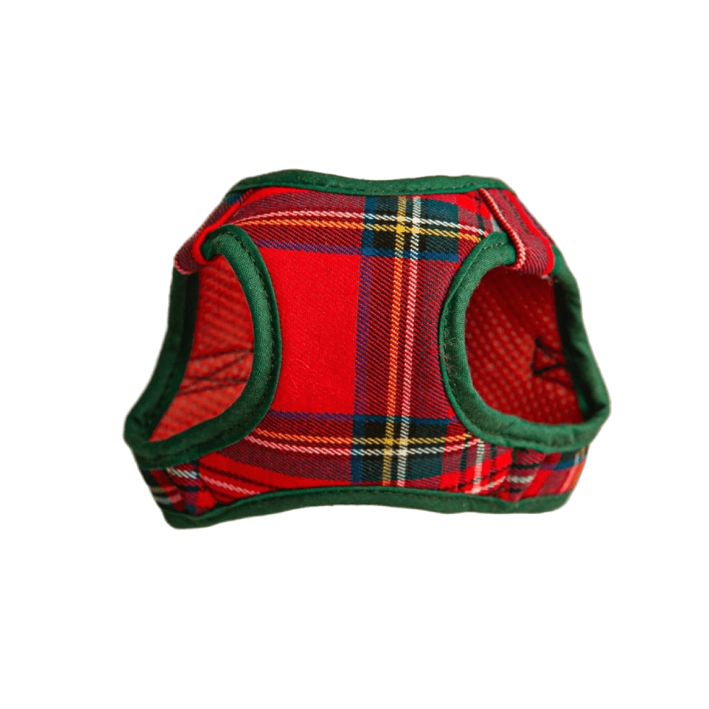 Arnes y Correa Escoces Rojo