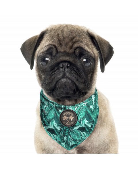 Milk And Pepper Capoeira Bandana