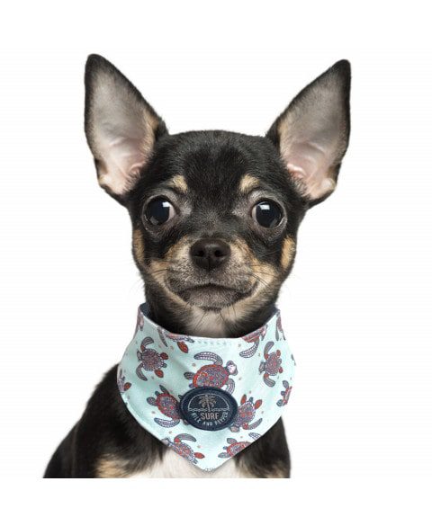 Milk and Pepper Tamaroa Bandana