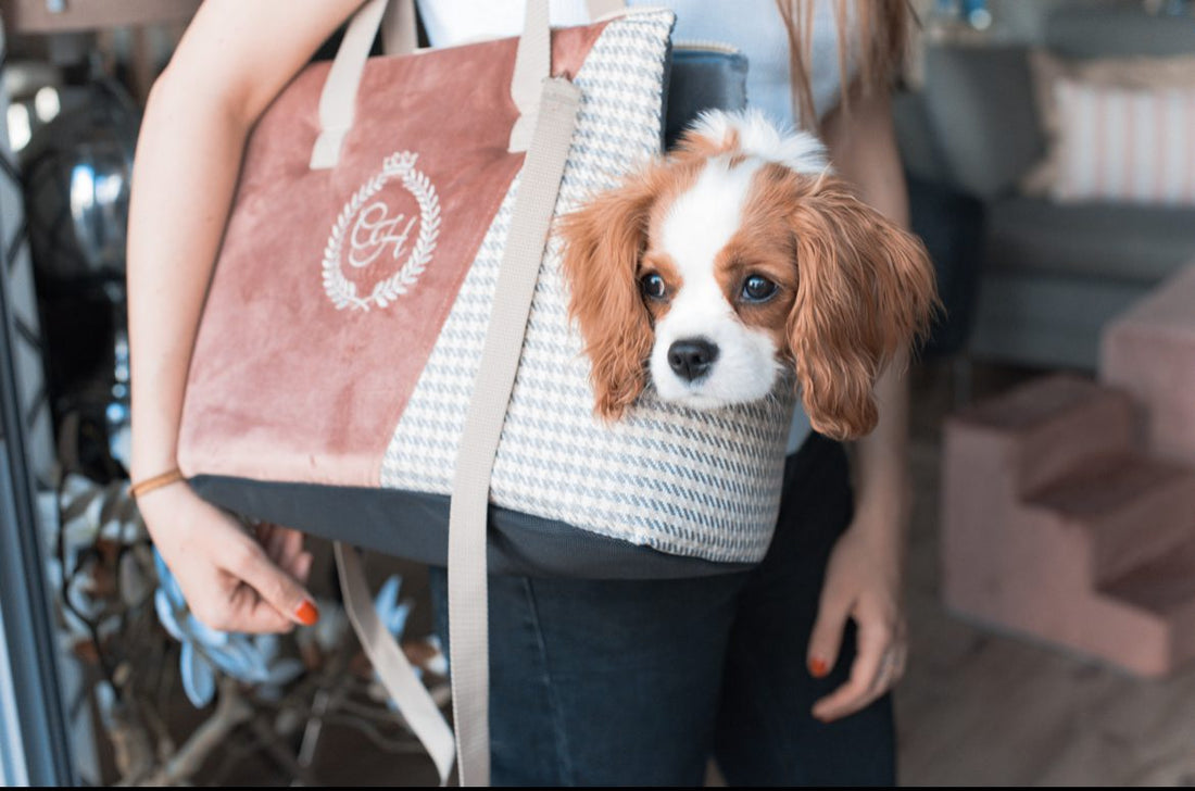 Bolso Porto Azul de Chloes Home