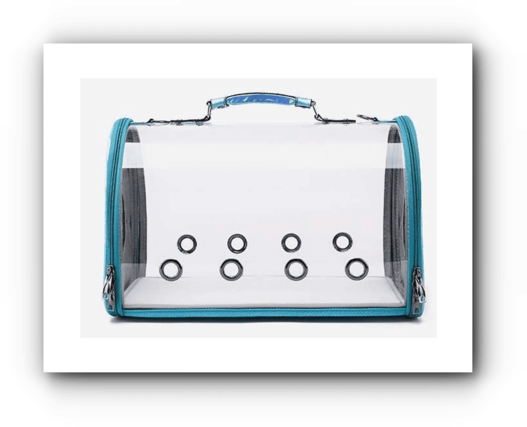 Blue Transparent Bag