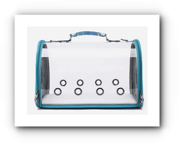 Blue Transparent Bag