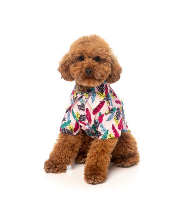 Camiseta Hawaiana Ohana