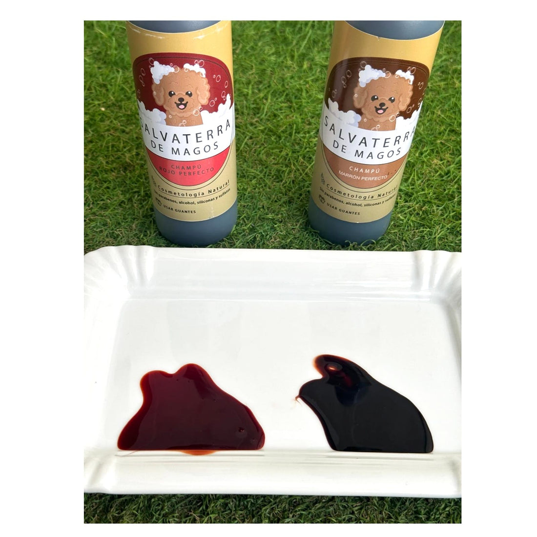 Champú Marron Perfecto para Caniche