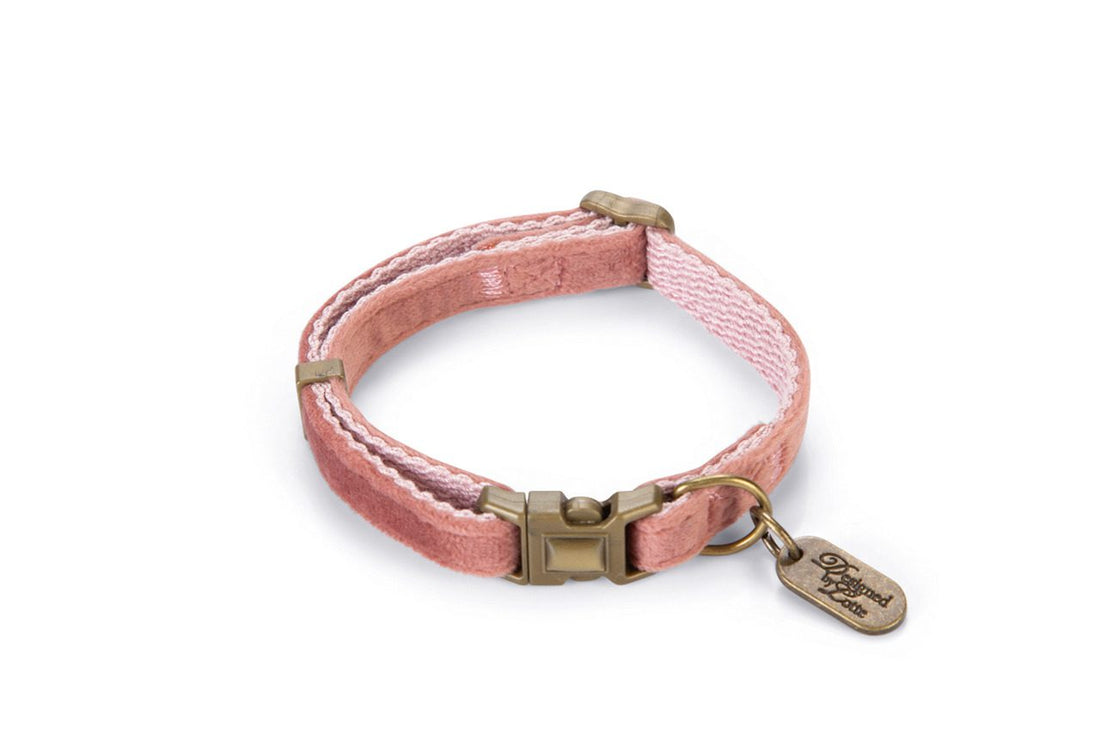 Collar-de-color-rosa-disenado-por-Lotte-Velura-de-Salvaterra-de-Magos-collar-para-caniches-de-Salvaterra-de-Magos