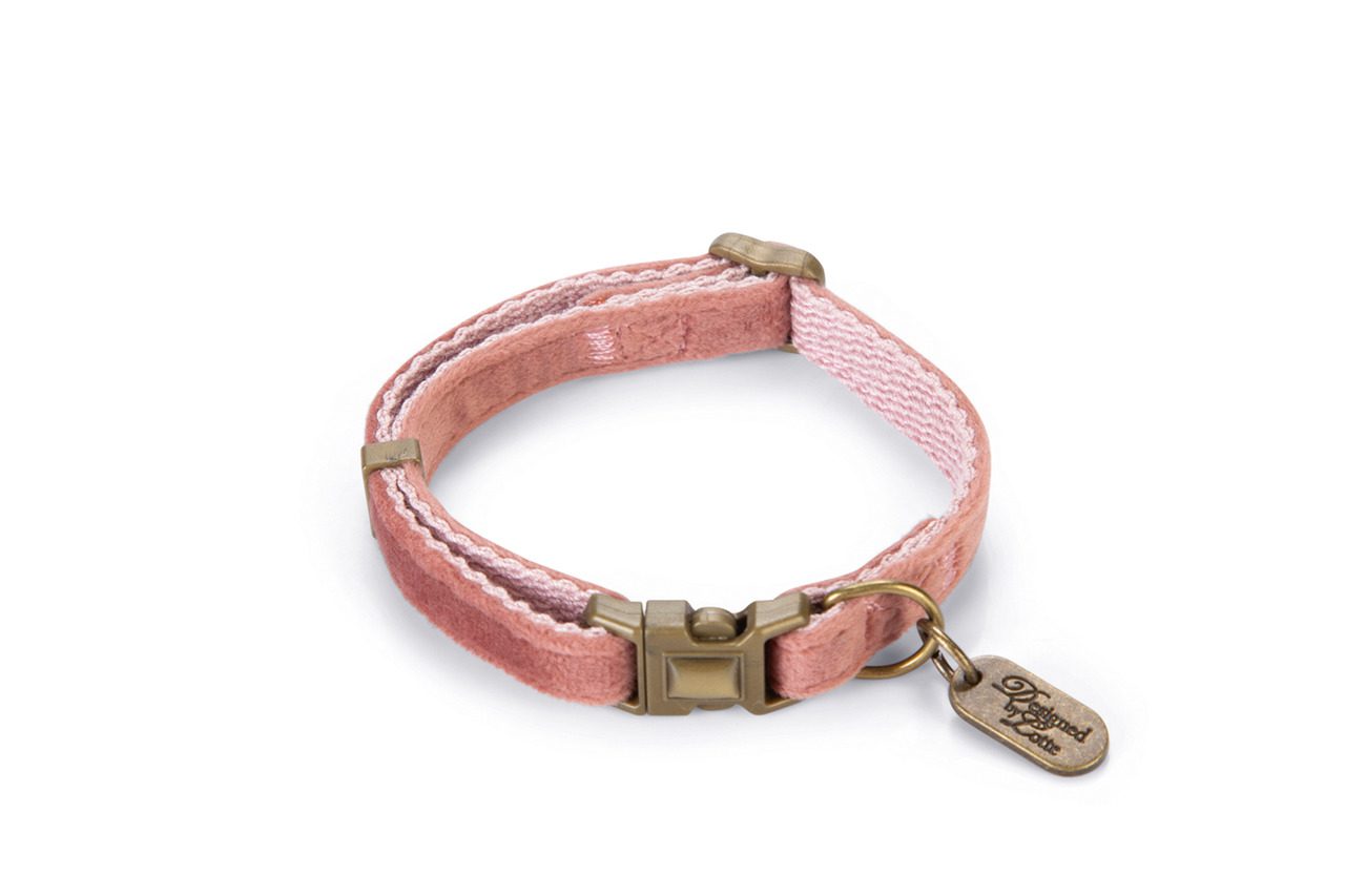 Collar-de-color-rosa-disenado-por-Lotte-Velura-de-Salvaterra-de-Magos-collar-para-caniches-de-Salvaterra-de-Magos