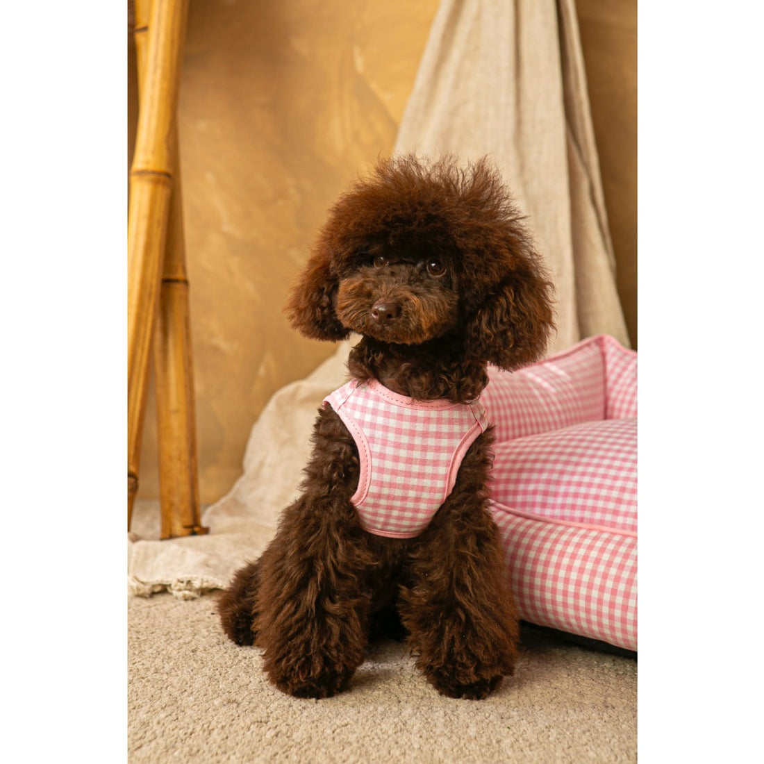 Arnes y Correa Vichy Rosa