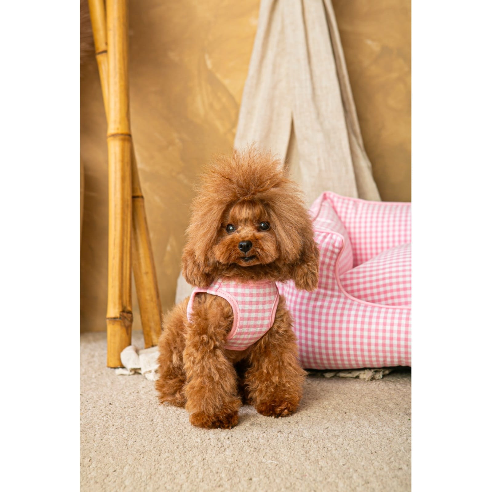 Conjunto Salvaterra de Arnes y Correa Vichy Rosa