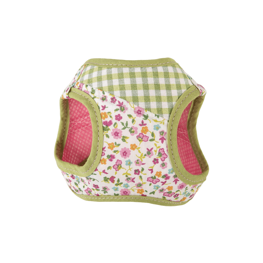 Conjunto Tobii de Salvaterra de Magos