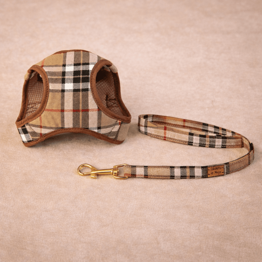 Conjunto Salvaterra  de Arnes y Correa Burberry Marron