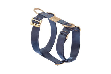 Conjunto de Arnes y Correa Mida Azul. arnes comodo para caniche. arnes de ferribiella seguro. salvaterra de magos caniches toy
