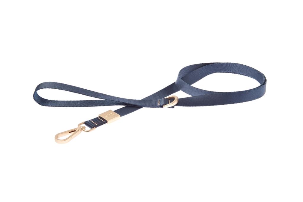 Conjunto de Arnes y Correa Mida Azul. arnes comodo para caniche. arnes de ferribiella seguro. salvaterra de magos caniches toy