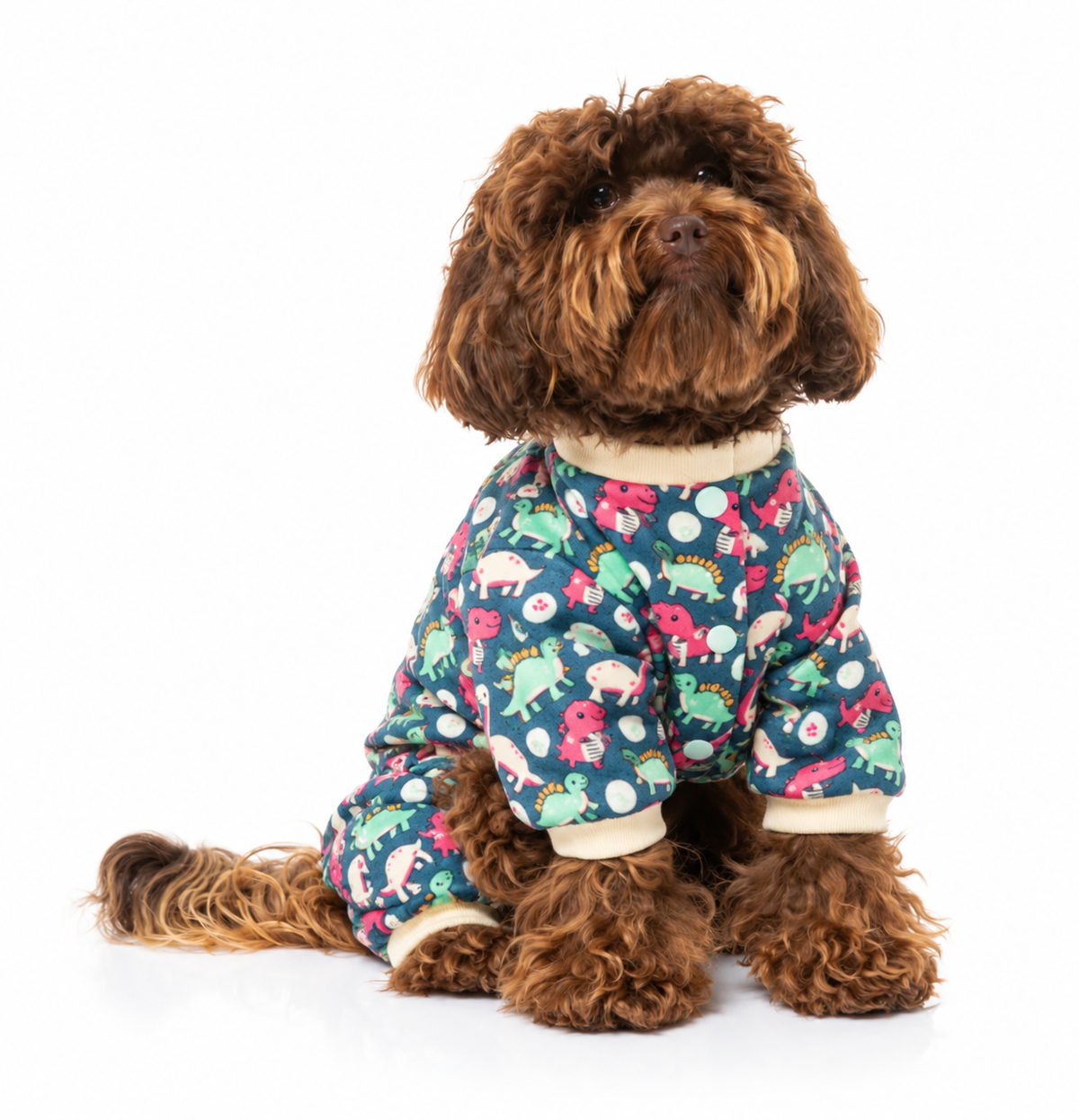 Pijama de FuzzYard Dinosaur