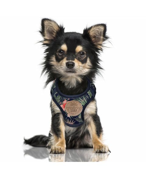 Wailua harness by Milk And Pepper