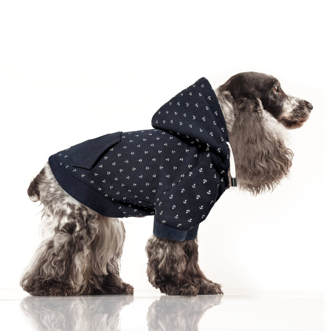 Milk and Pepper Ewen Sweatshirt