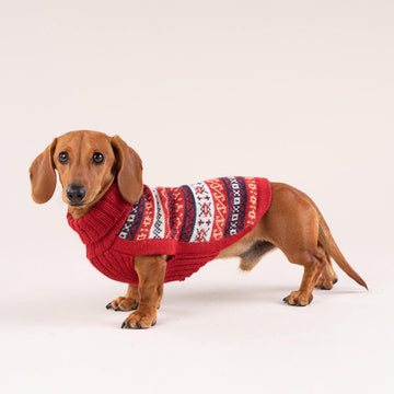 Jersey Heritage de Alqo Wasi. Jersey de caniche toy. abrigo para perro de alqo wasi peru