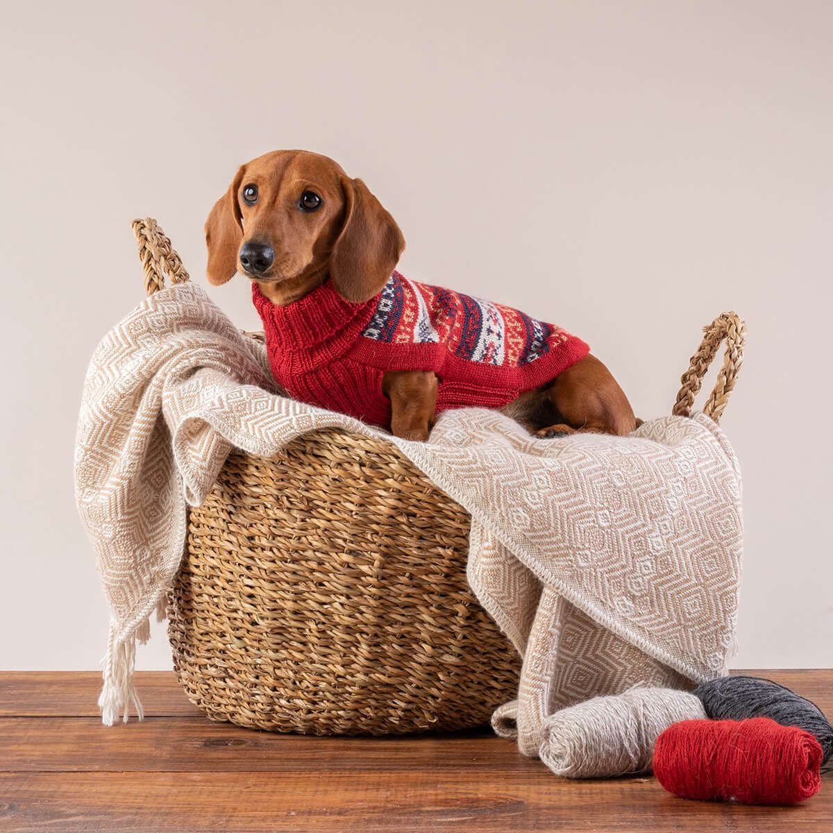 Jersey Heritage de Alqo Wasi. abrigo de invierno para perro. ropa de perro para caniche. toy