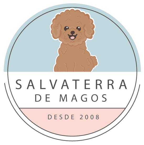 Salvaterra de Magos