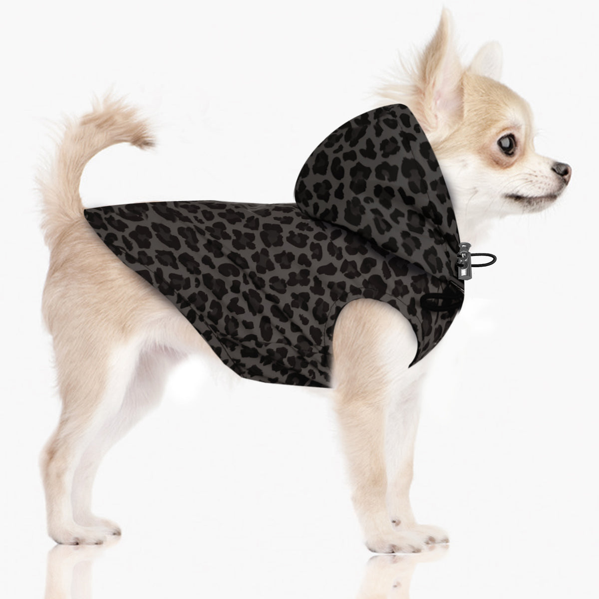 Gregor Raincoat