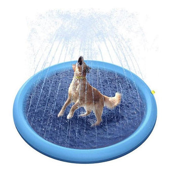 Piscina Perro Splash
